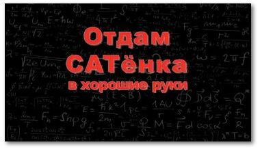 Отдам CATенка в хорошие руки