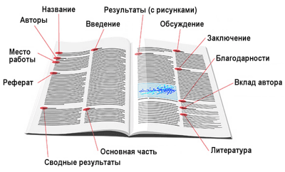Scientific article sections